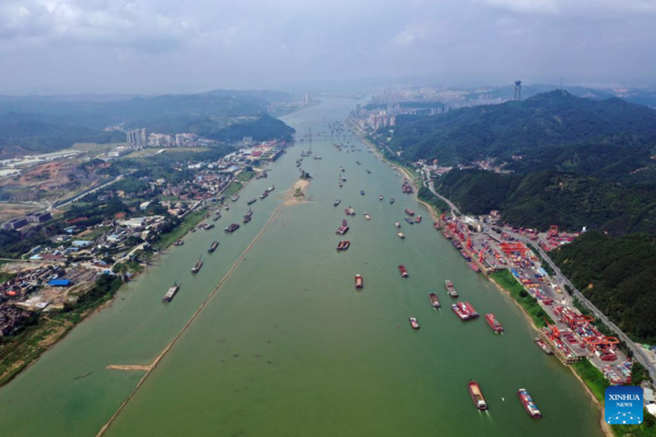 Liubao Tea Industry Thriving in Wuzhou, S China