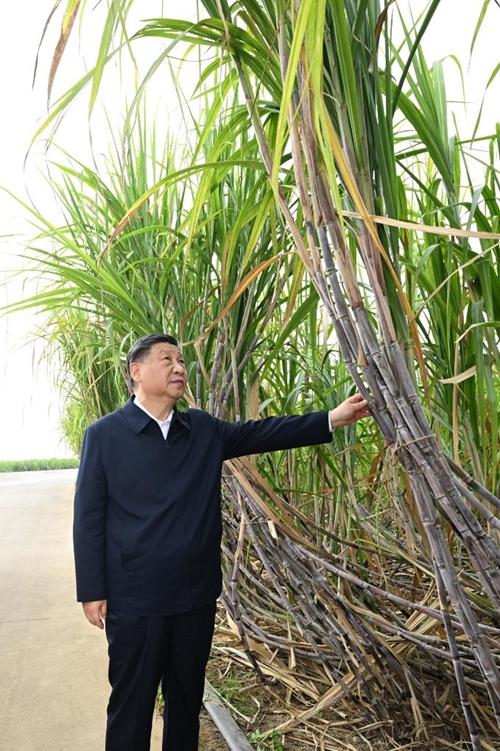 Xi Inspects City of Laibin in South China's Guangxi