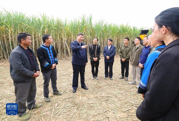 New building of museum at Shang Dynasty capital site to open this month