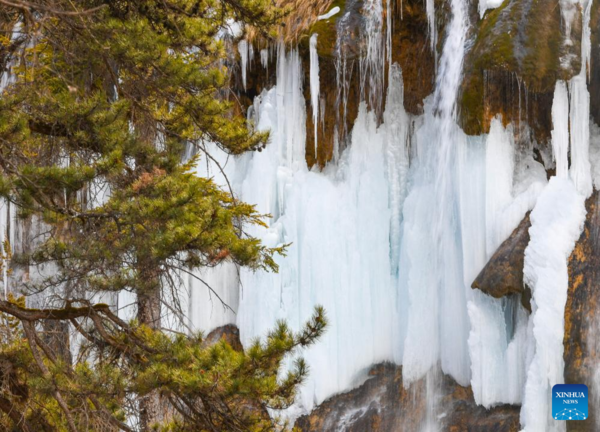 Int'l Tourism Festival Featuring Frozen Waterfalls Opens at Jiuzhaigou National Park