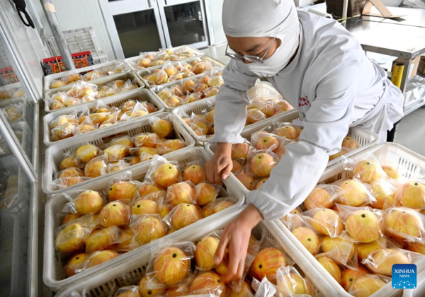 Staff Members Prepare Flour Products for Spring Festival in China's Shandong