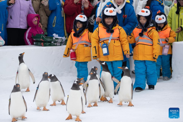 Trip of 11 Preschoolers Stimulates Cultural Exchanges Between Heilongjiang and Guangxi
