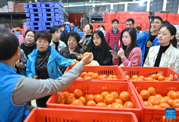 Trip of 11 Preschoolers Stimulates Cultural Exchanges Between Heilongjiang and Guangxi