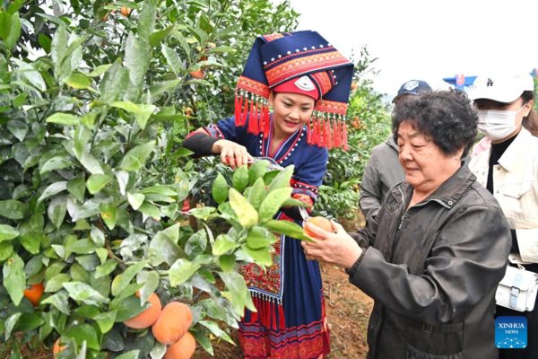 Trip of 11 Preschoolers Stimulates Cultural Exchanges Between Heilongjiang and Guangxi