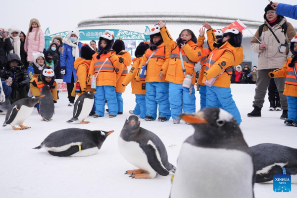 Trip of 11 Preschoolers Stimulates Cultural Exchanges Between Heilongjiang and Guangxi