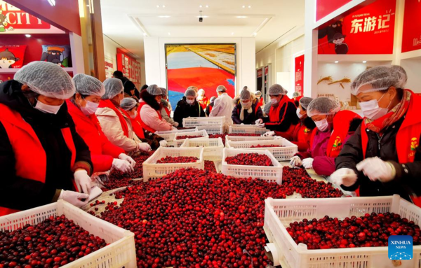 Trip of 11 Preschoolers Stimulates Cultural Exchanges Between Heilongjiang and Guangxi