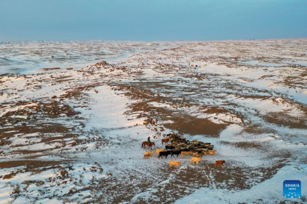 Service Stations Organize Activities for Herdsmen to Enrich Leisure Time in Xinjiang