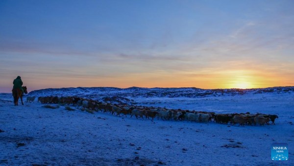 Chinese scientists use machine learning for precise Antarctic sea ice prediction