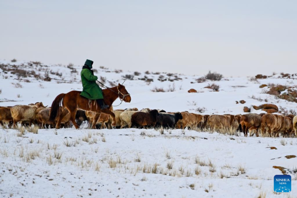 Service Stations Organize Activities for Herdsmen to Enrich Leisure Time in Xinjiang