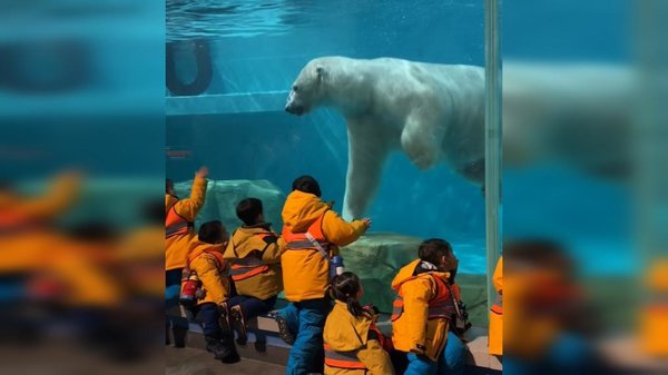 GLOBALink | Social Media Fuels Tourism Boom in China