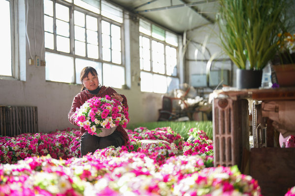 Silk Flowers Help Local Women Gain Employment in Hebei