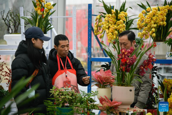 Flower-Themed Fairs Held in Chengdu to Celebrate Upcoming Chinese New Year