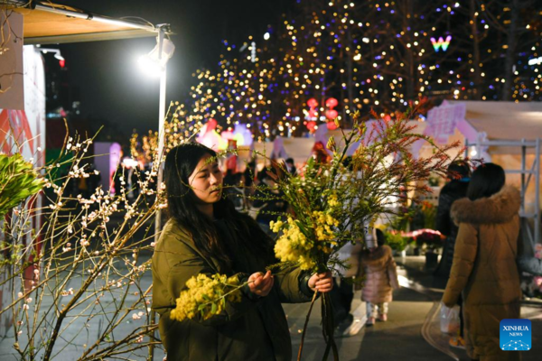 Flower-Themed Fairs Held in Chengdu to Celebrate Upcoming Chinese New Year