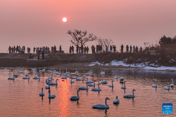 People Across China Enjoy Spring Festival Holiday