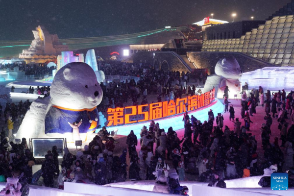 China Focus: Longer Spring Festival Holiday Sparks Travel Frenzy Among Chinese