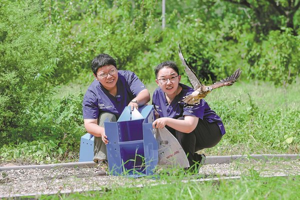 Raptor Rescuer Keeps Birds of Prey Under Her Wing