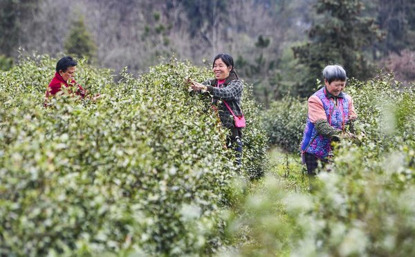China to Launch Law Popularization Campaign Aimed at Rural Women
