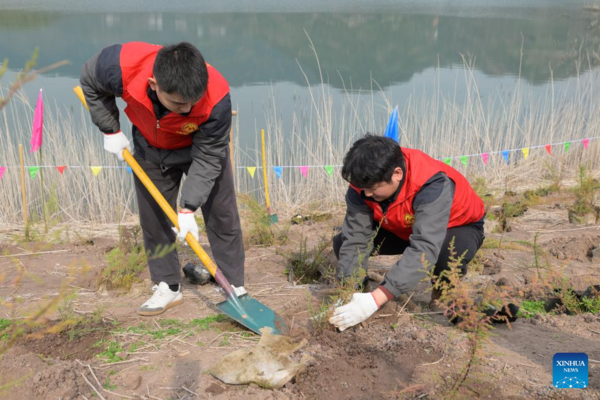 Rare, Endangered Plants Reintroduced into China's Three Gorges Reservoir Area