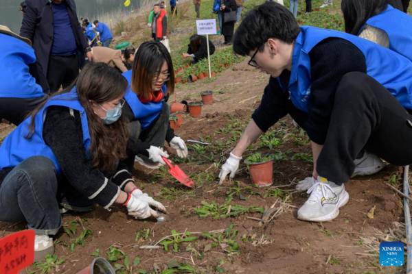 Rare, Endangered Plants Reintroduced into China's Three Gorges Reservoir Area