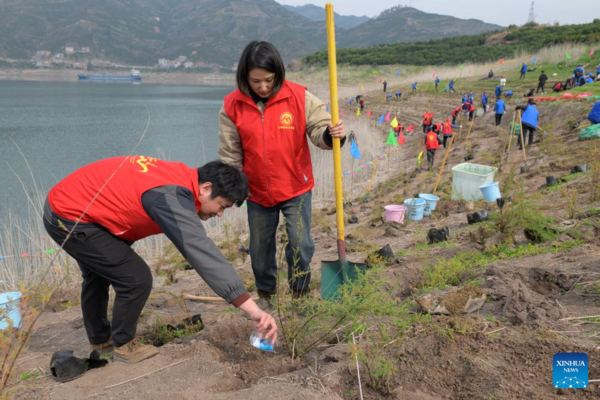Rare, Endangered Plants Reintroduced into China's Three Gorges Reservoir Area