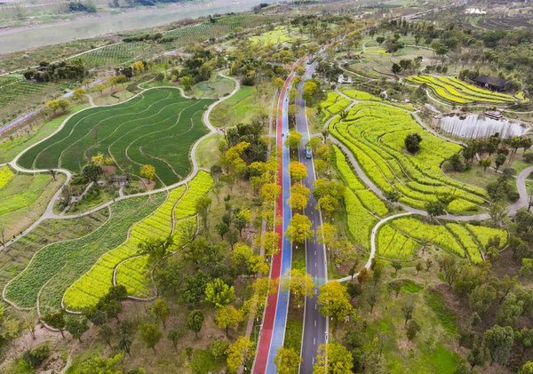 EcoChina | From Threatened to Thriving: The Environmental Restoration of Guangyang Isle in SW China