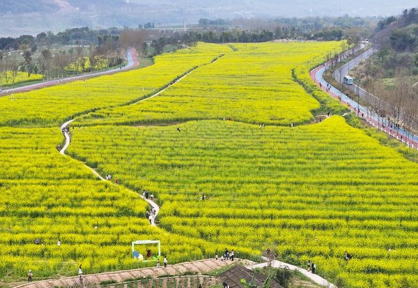 EcoChina | From Threatened to Thriving: The Environmental Restoration of Guangyang Isle in SW China