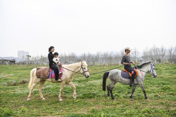EcoChina | From Threatened to Thriving: The Environmental Restoration of Guangyang Isle in SW China