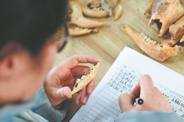 Women Make Their Mark in Archaeological Field