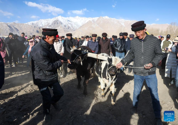 Festivals of Sowing Seeds, Drawing Water Celebrated in Xinjiang