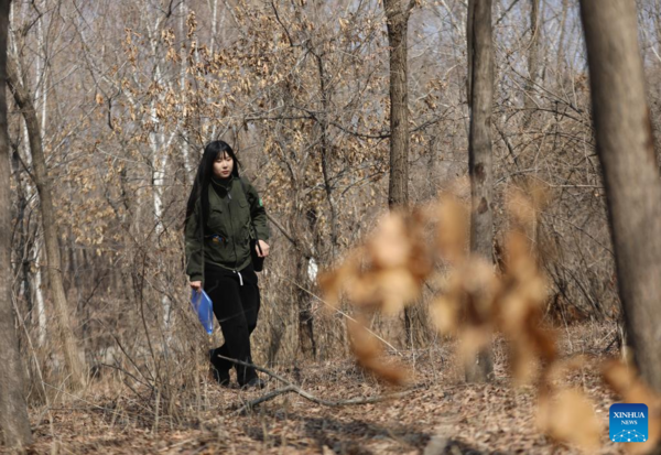 Pic Story of Raptor Rehabilitator in NE China