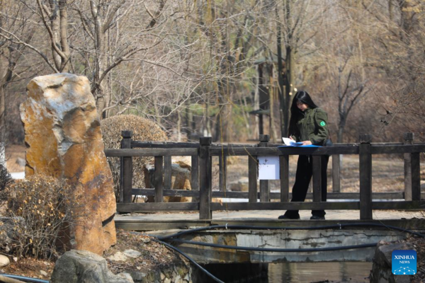 Pic Story of Raptor Rehabilitator in NE China