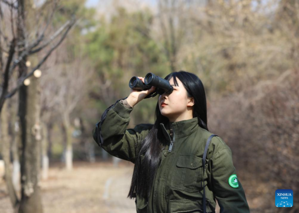 Pic Story of Raptor Rehabilitator in NE China