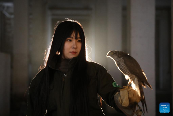 Pic Story of Raptor Rehabilitator in NE China