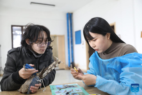 Pic Story of Raptor Rehabilitator in NE China