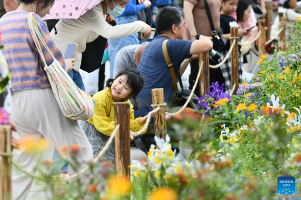 Greater Bay Area Flower Show Kicks off in Shenzhen