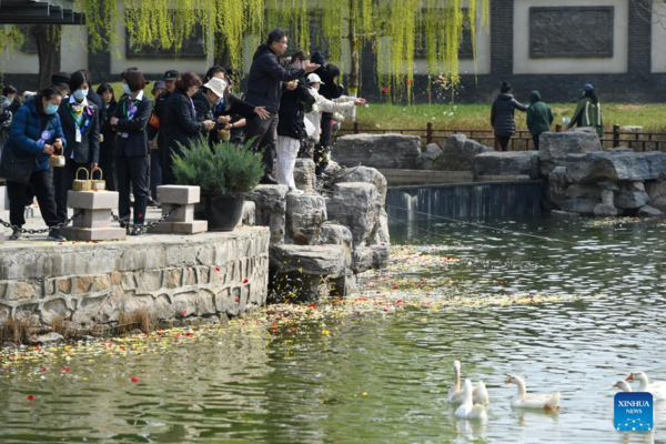 People Pay Tribute to Deceased Ahead of Qingming Festival in Beijing