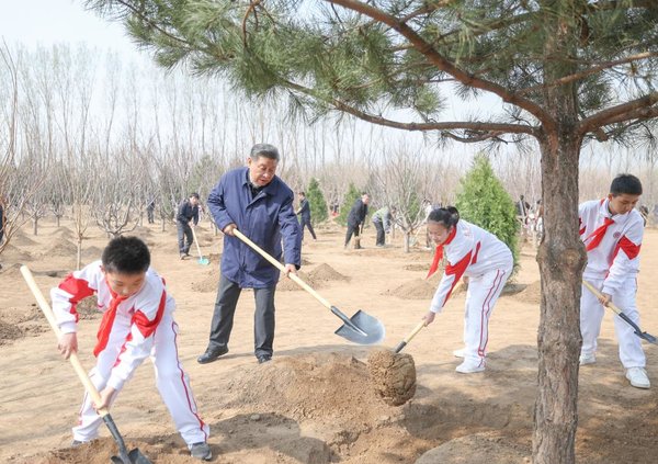 Xi Focus: Xi Plants Trees in Beijing, Urging Nationwide Afforestation Efforts for Beautiful China