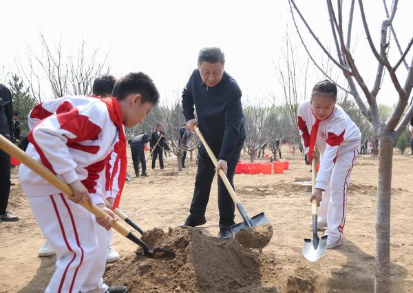 Xi Focus: Xi Plants Trees in Beijing, Urging Nationwide Afforestation Efforts for Beautiful China