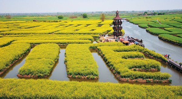 Xinghua Mecca for Rapeseed Flowers