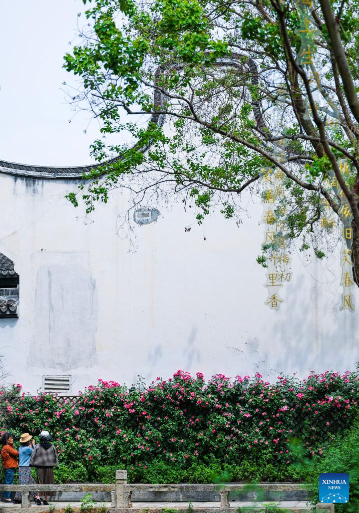 Revitalized Yuehe Historical Area Becomes Tourist Attraction in Jiaxing, E China