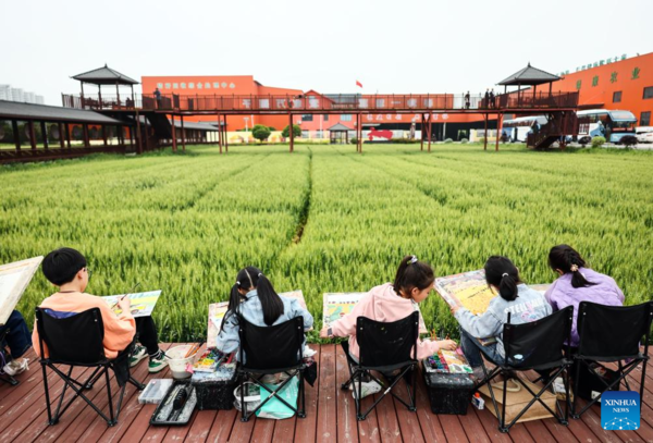 Nanhu District Develops Industries to Boost Rural Revitalization in Jiaxing City, E China's Zhejiang
