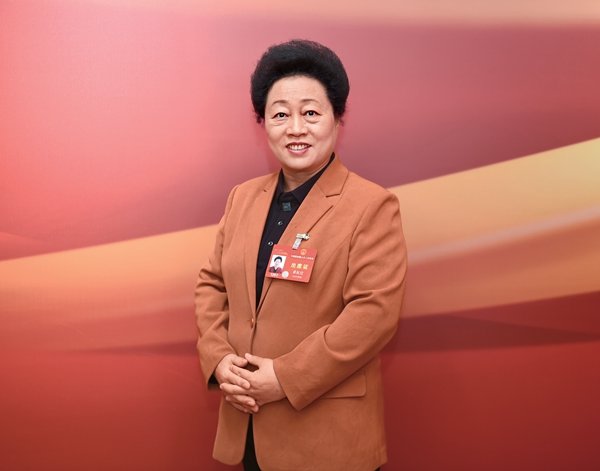 Two Sessions | Promoting Domestic Industry's High-Quality Development