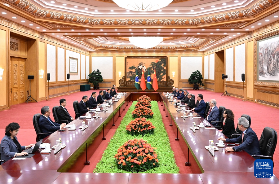 Xi Meets Brazilian Vice President