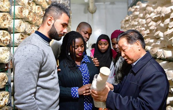 How Chinese Hybrid Grass Technology Is Changing the World for the Better