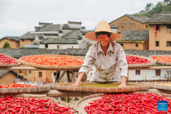 7th Chinese Farmers' Harvest Festival Celebrated Across China