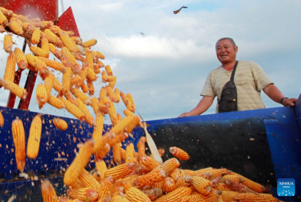 7th Chinese Farmers' Harvest Festival Celebrated Across China