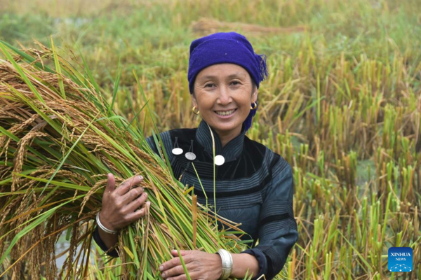 7th Chinese Farmers' Harvest Festival Celebrated Across China