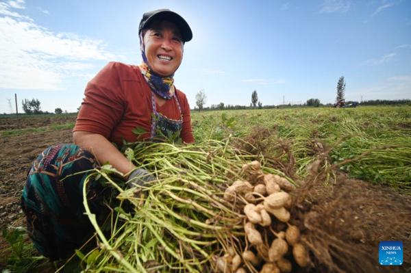 7th Chinese Farmers' Harvest Festival Celebrated Across China
