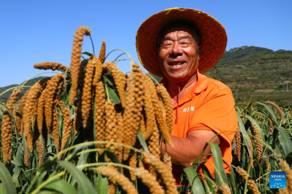 7th Chinese Farmers' Harvest Festival Celebrated Across China