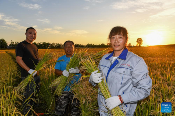 7th Chinese Farmers' Harvest Festival Celebrated Across China